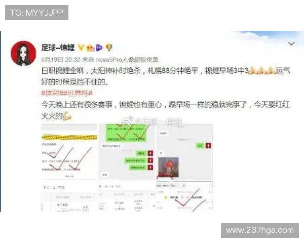 K1体育中国官网的赛事分析工具与使用技巧